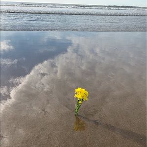 Meet your Posher, Juliana